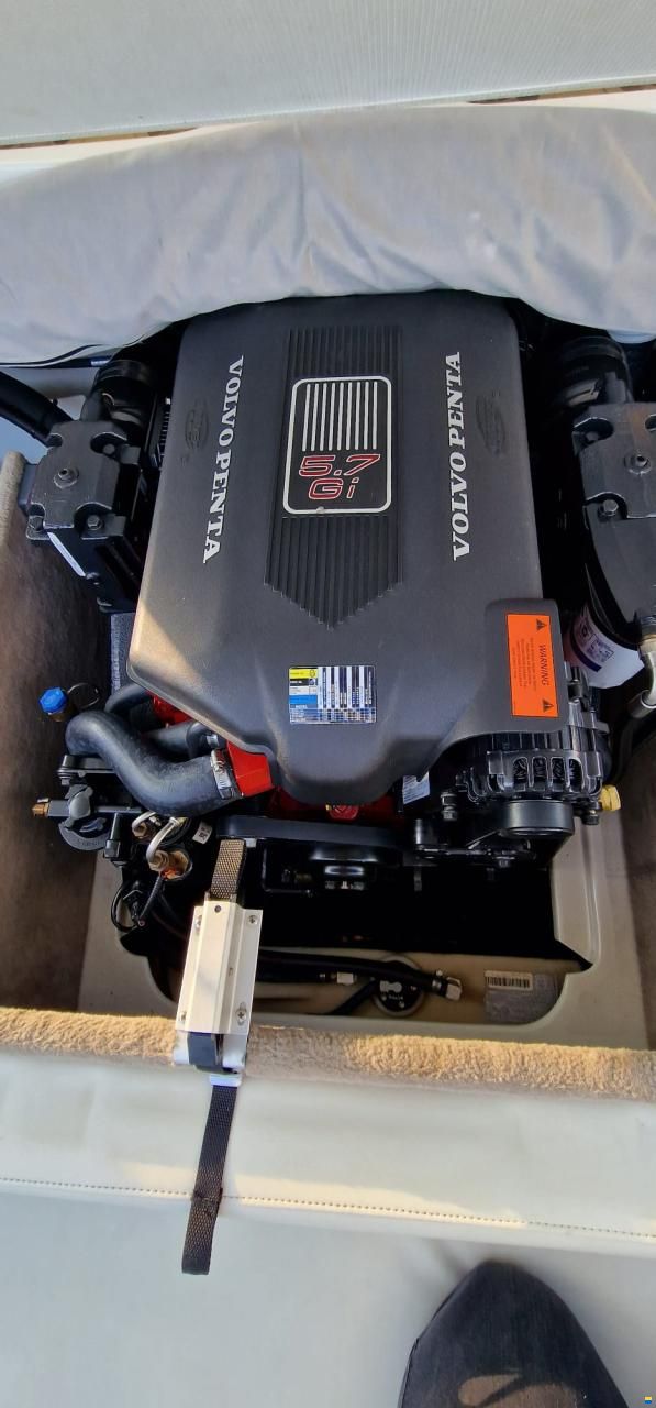Stingray 230 SX