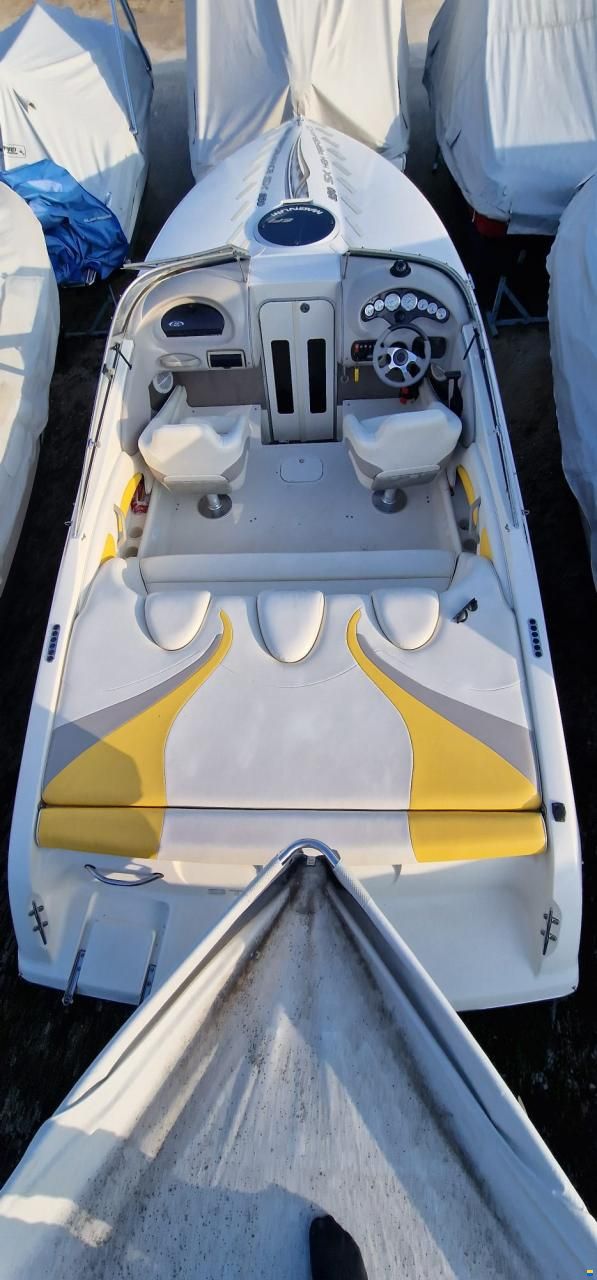 Stingray 230 SX