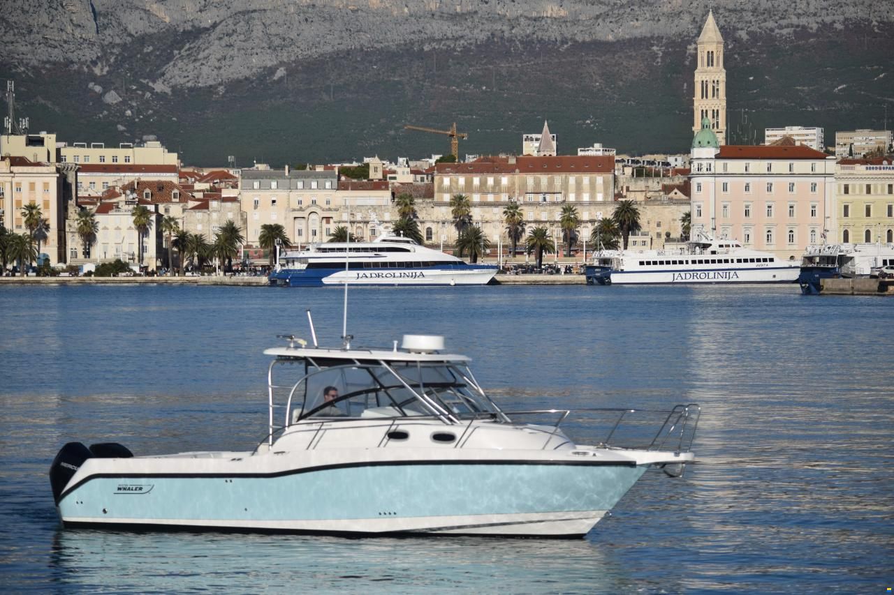 Boston Whaler 305 Conquest