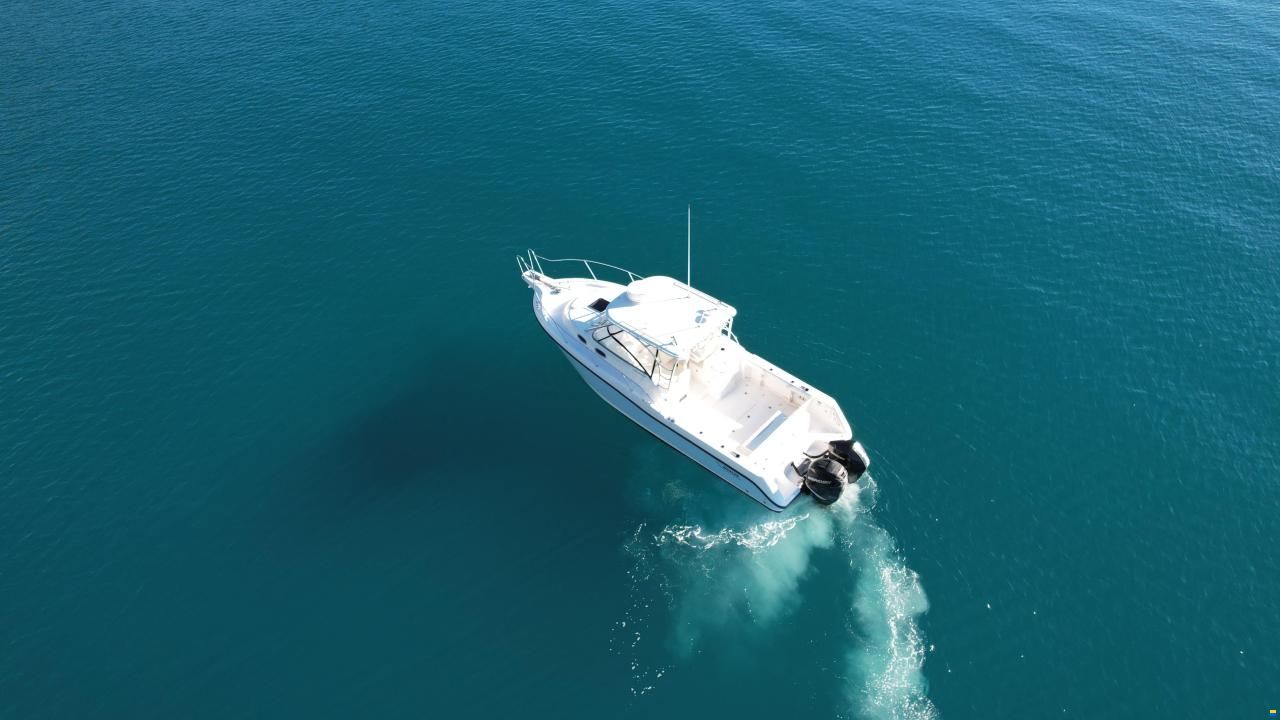 Boston Whaler 305 Conquest