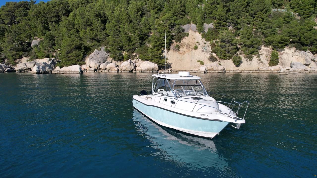 Boston Whaler 305 Conquest