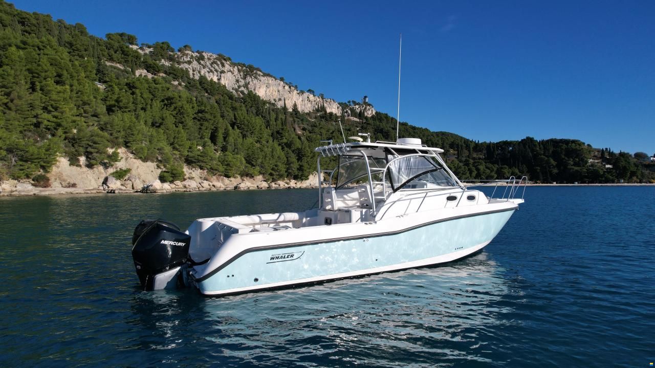 Boston Whaler 305 Conquest