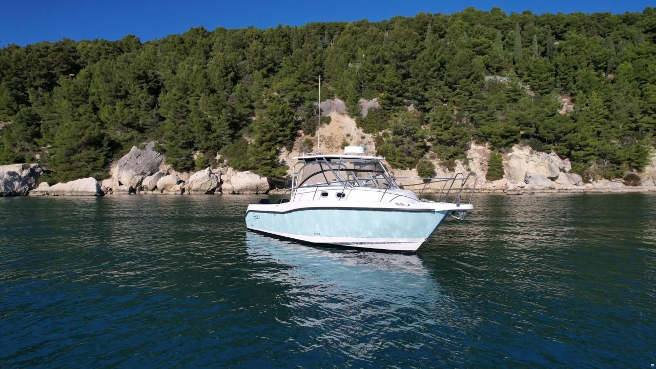 Boston Whaler 305 Conquest