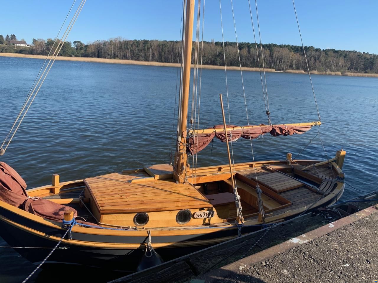 M&ouml;we FZ - 102