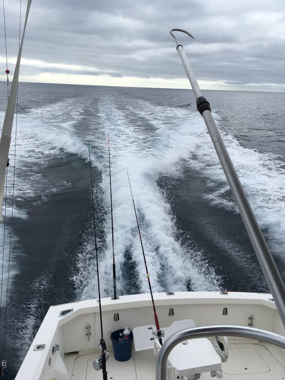 Bertram 28
