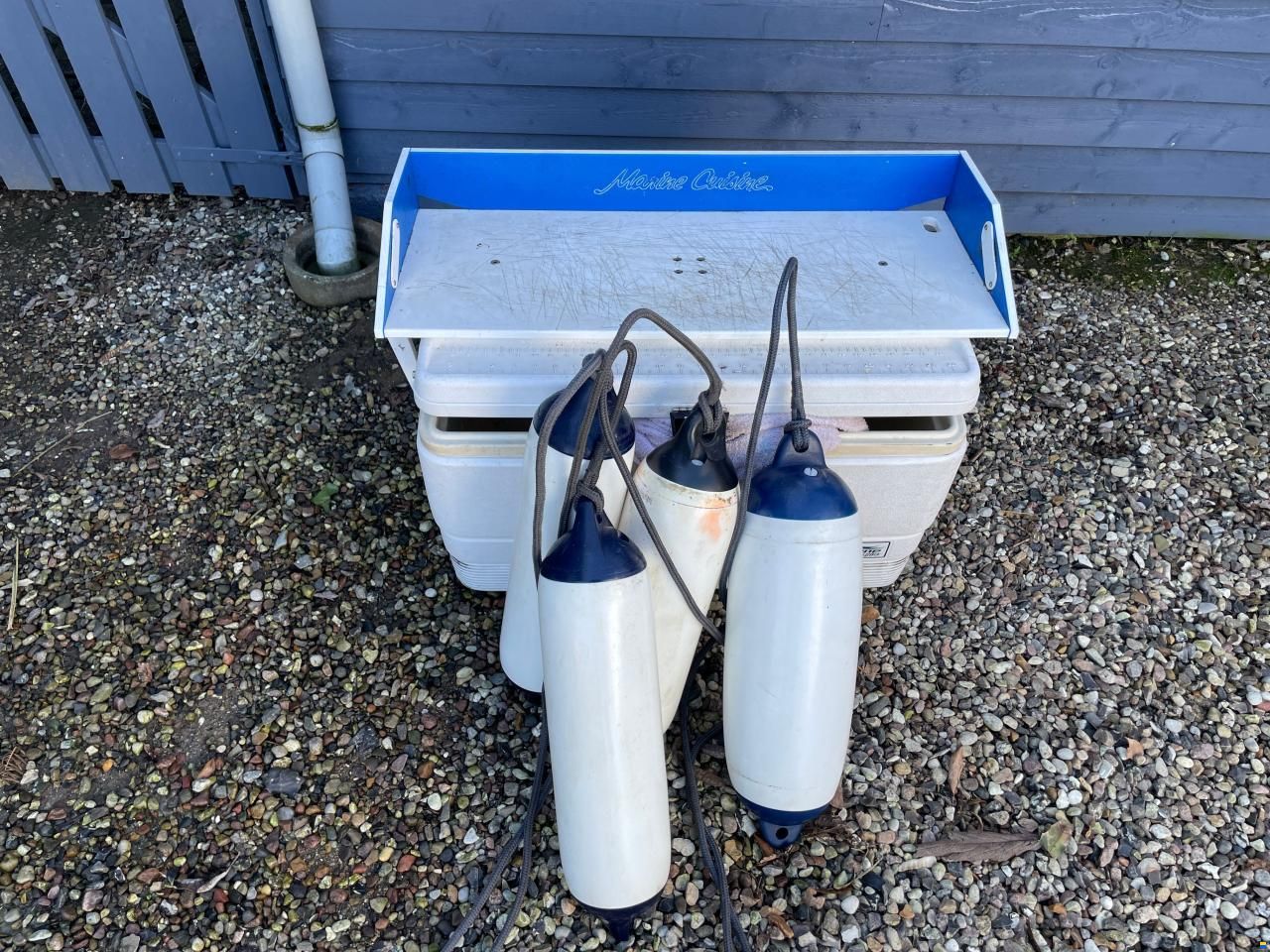 Sessa Oyster 20
