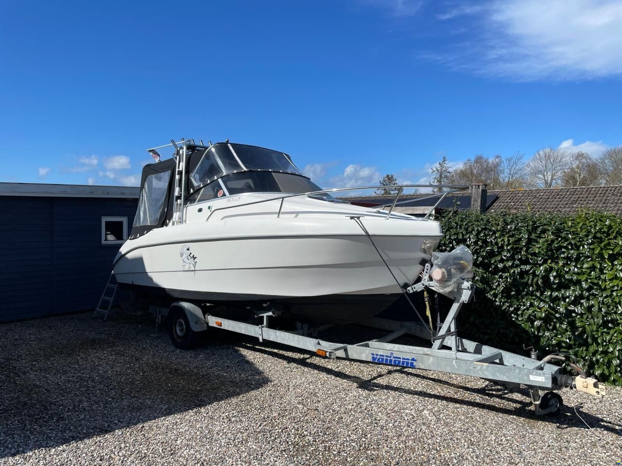 Sessa Oyster 20