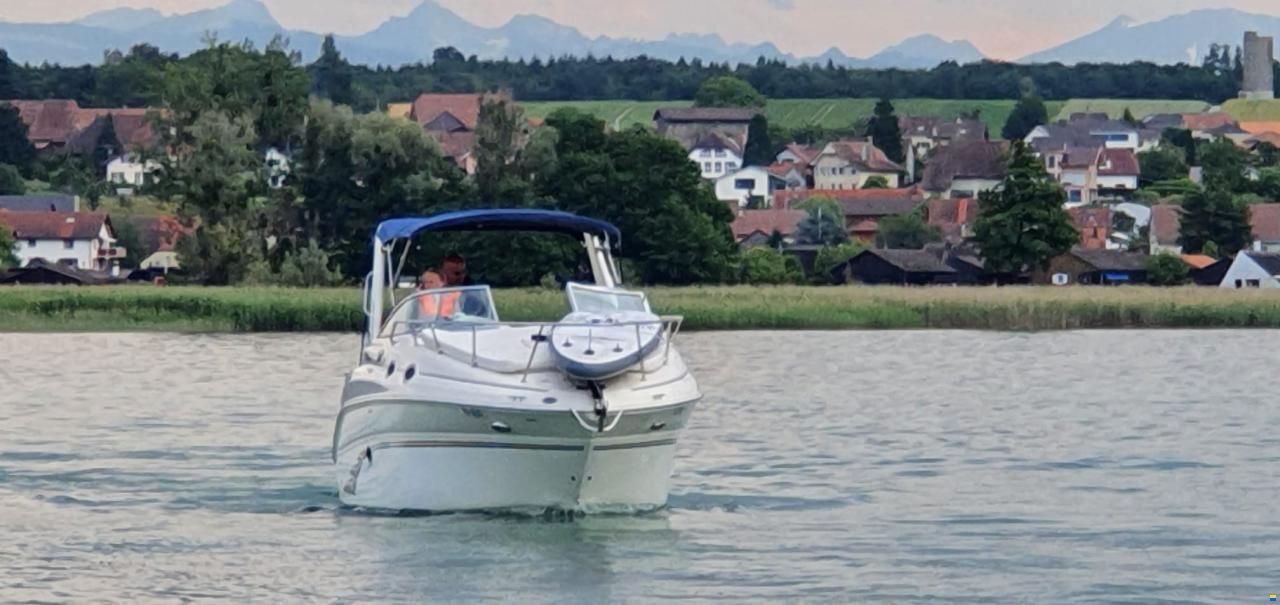 Sea Ray 260 DA