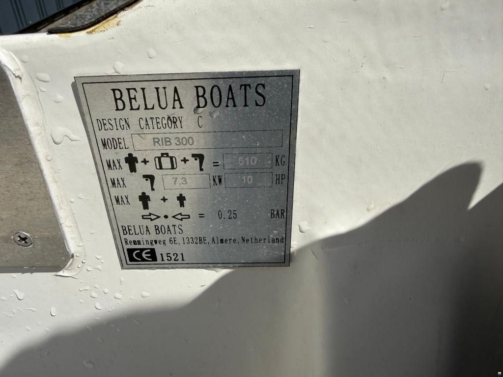 Belua RIB 300