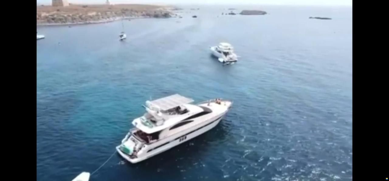 Astondoa 72
