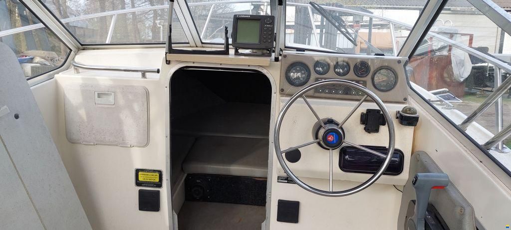 Campion Explorer 542