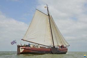 Friese Zeiltjalk 24.70