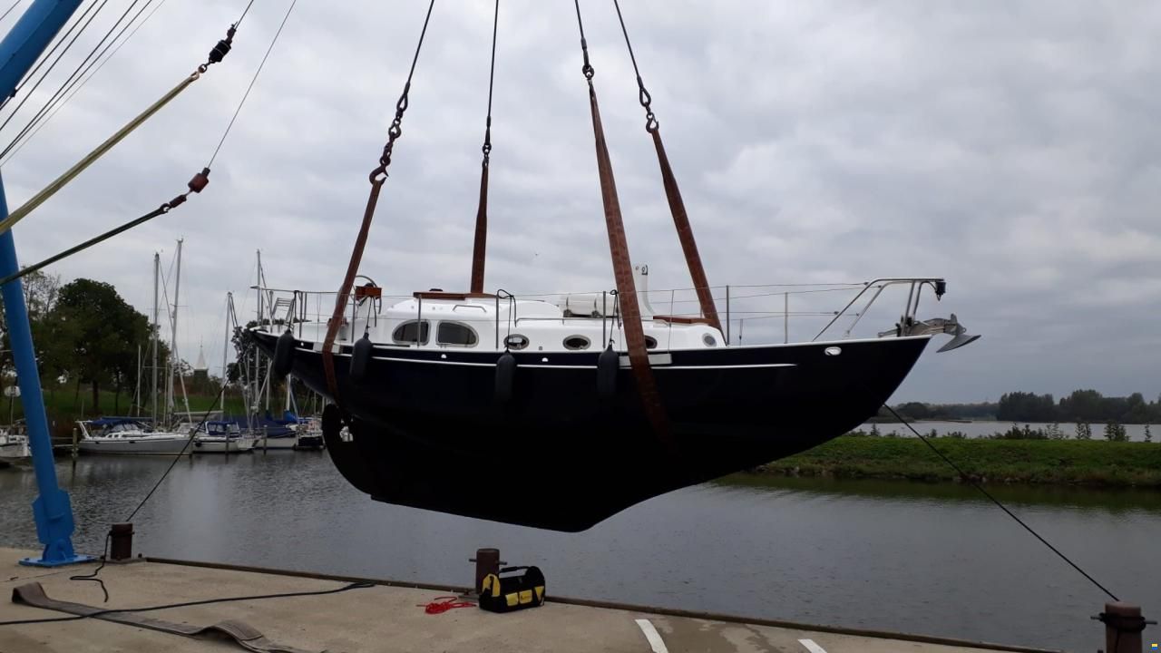 Moerman 29