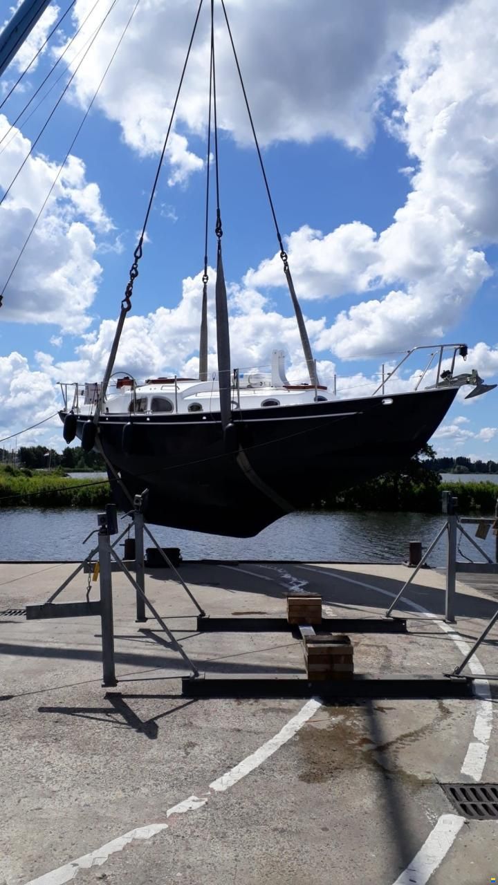 Moerman 29