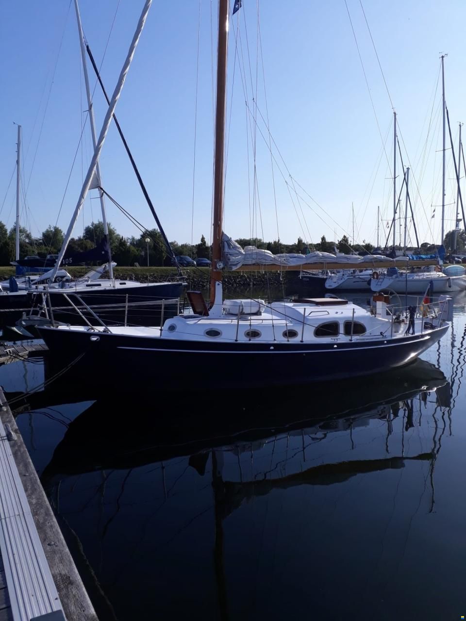 Moerman 29