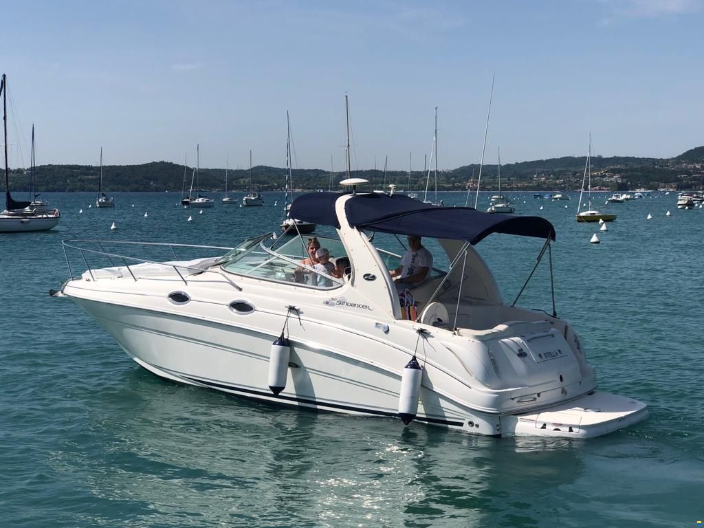Sea Ray 315 Sundancer