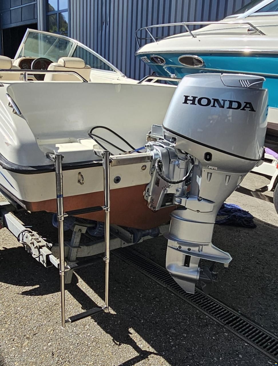 Hellwig Taros Deluxe