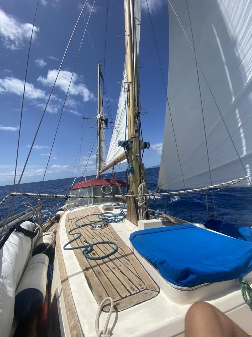 1973 Trintella 3A, EUR 19.000,-