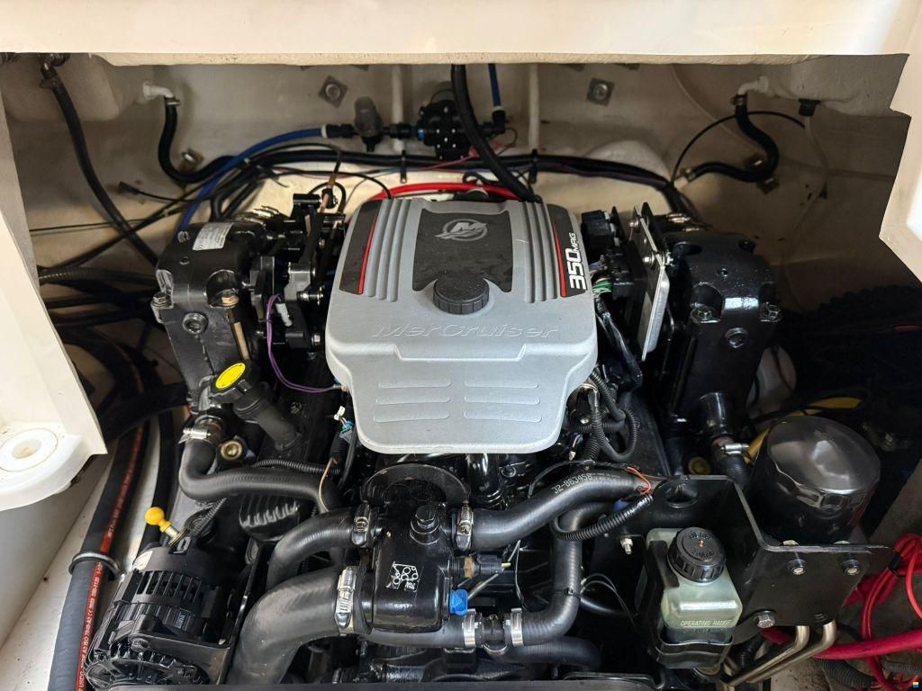 Monterey 248 LS Montura
