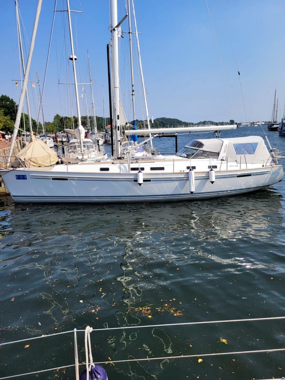 Saare 41.2