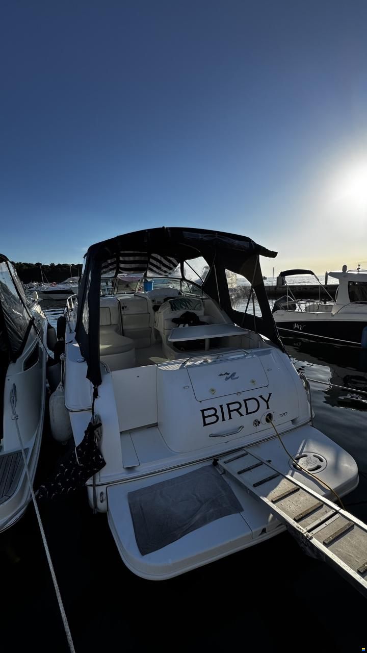 Sea Ray 270/280 Sundancer
