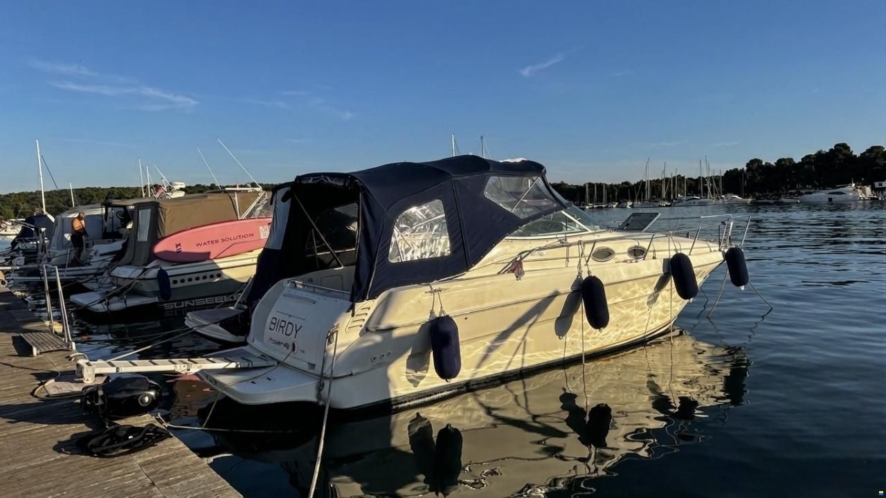 Sea Ray 270/280 Sundancer