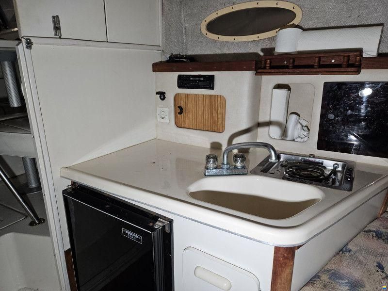 Sea Ray 250 Express Cruiser