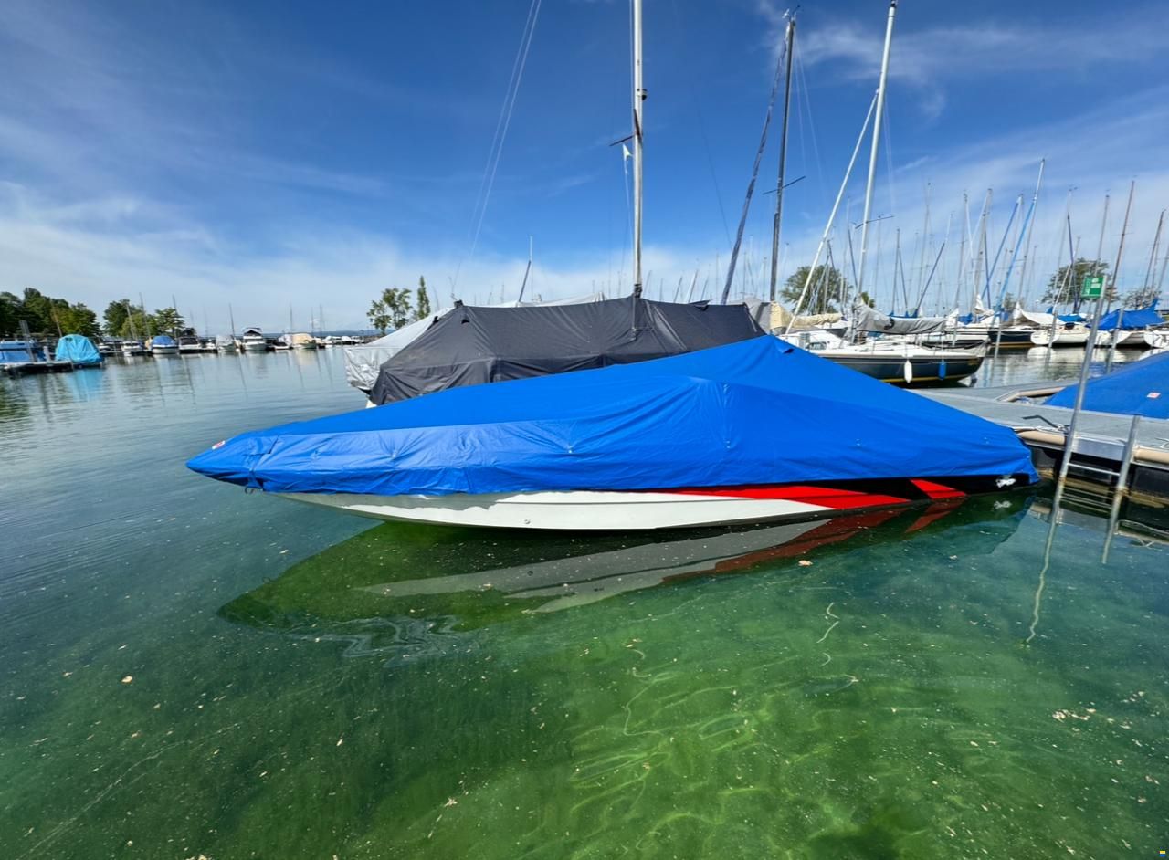 Seebold Eagle Silver 265