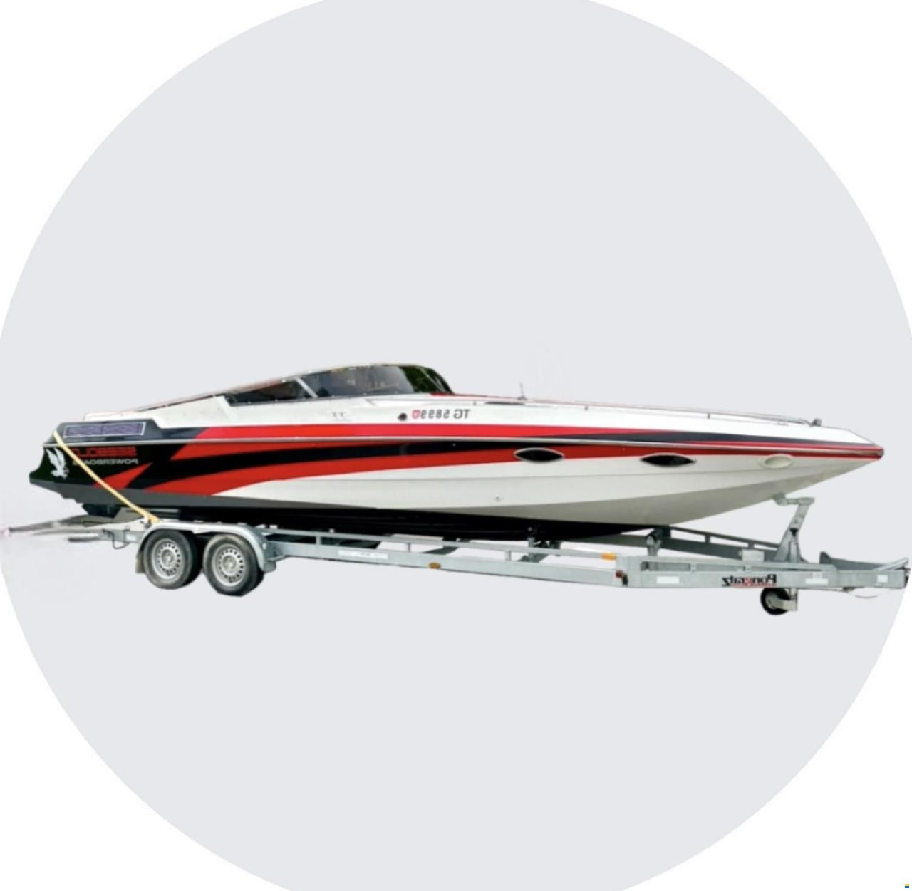 Seebold Eagle Silver 265