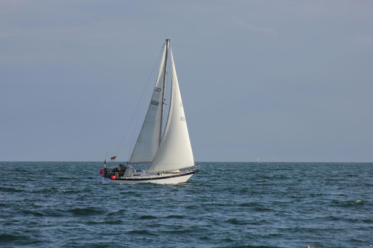 Van de Stadt WIBO 1100