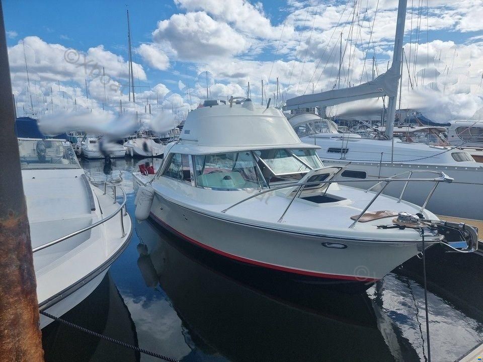RIVA BERTRAM 25 SPORT FISHERMAN