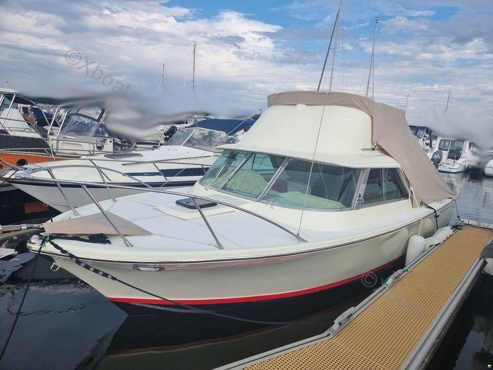 RIVA BERTRAM 25 SPORT FISHERMAN