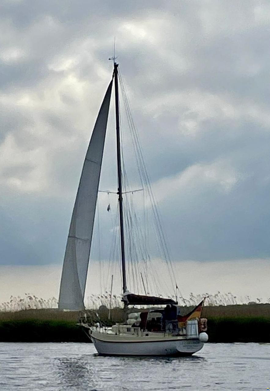 Deerberg Saphire III / 32