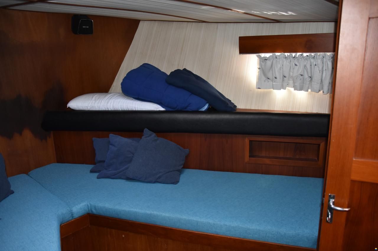 Broom Ocean 40