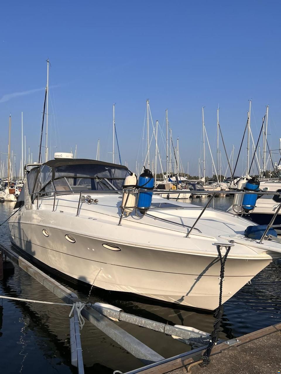 Larson 310 Cabrio