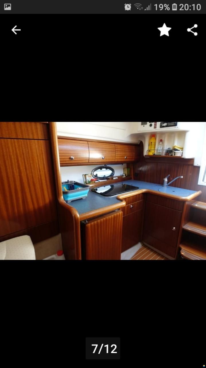 Bavaria Sport 29