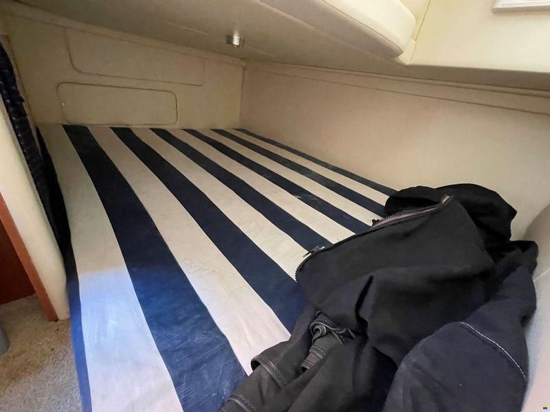Bayliner 255
