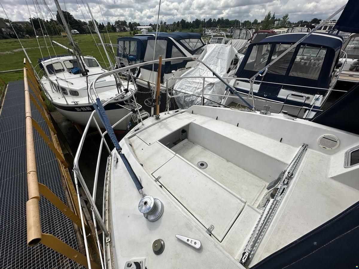 Jouet 920