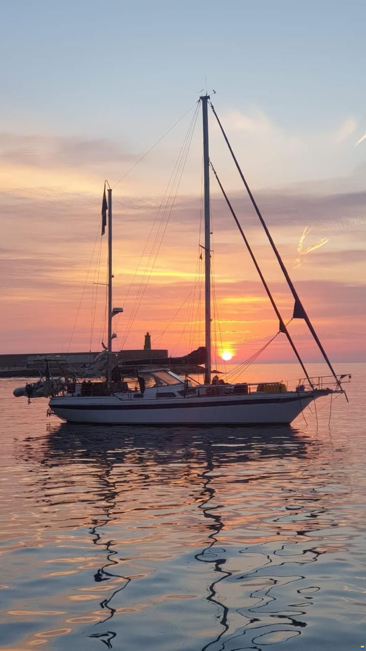 Ans&ouml; 42