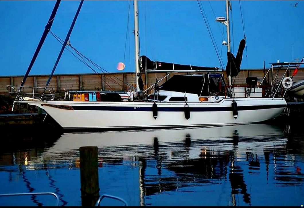 Ans&ouml; 42