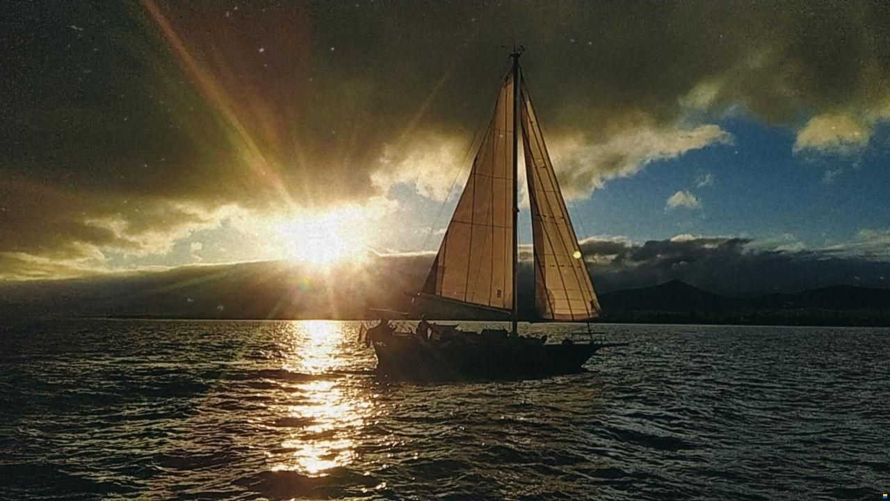 Huisman AVENIR (VAN DE STADT)