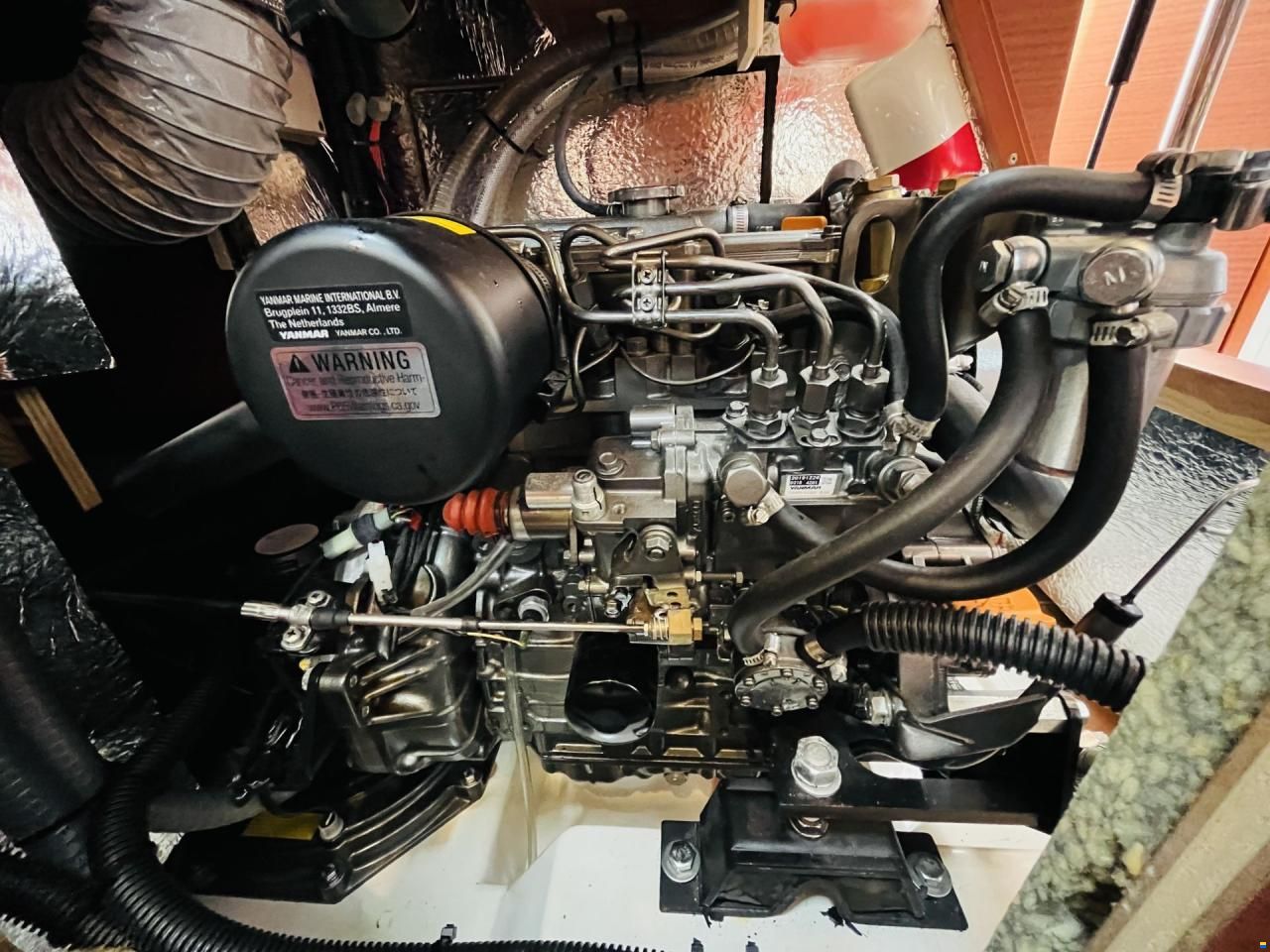 Hanse 388 (2020) 3 kabiner