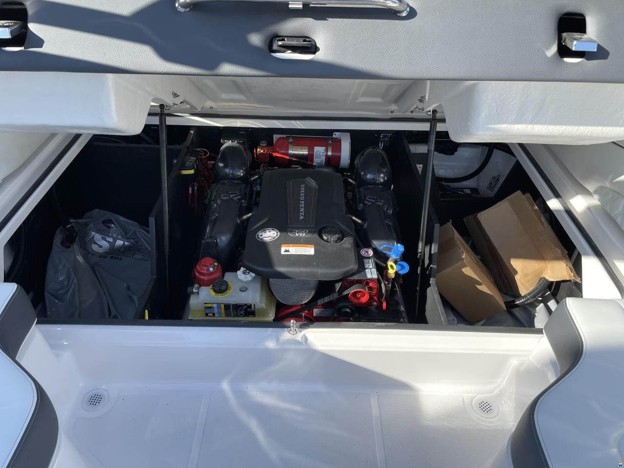 Regal LS4 Surf