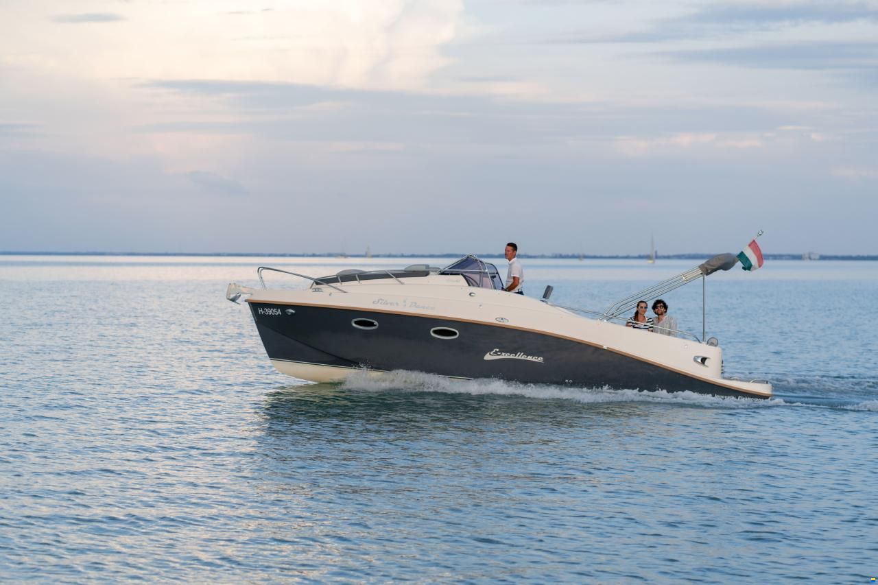 Stickl Exellence 860