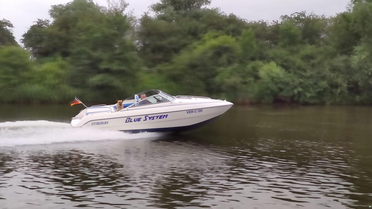 Stingray Daycruiser 599 ZPX