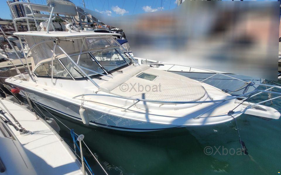 Luhrs 28