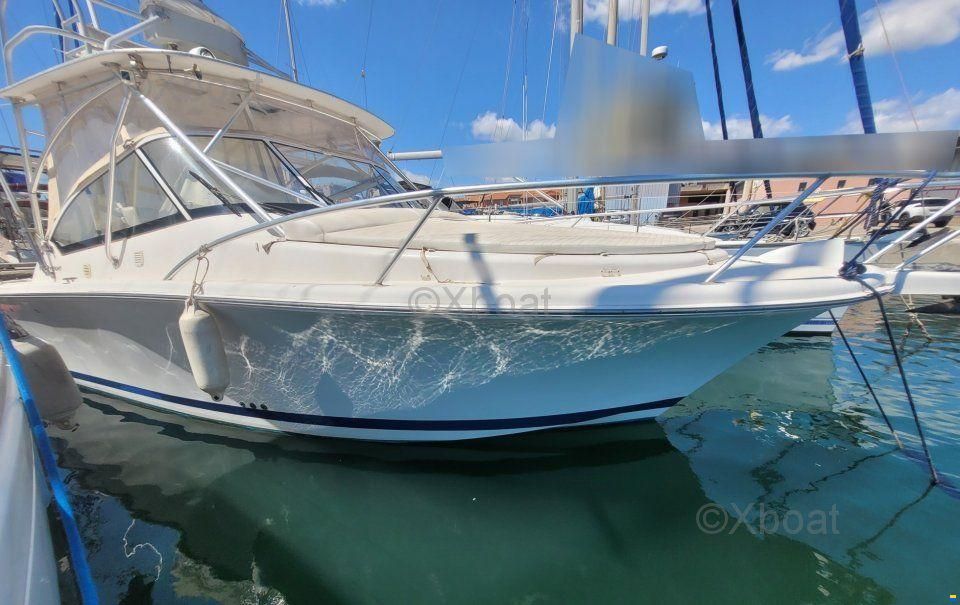 Luhrs 28
