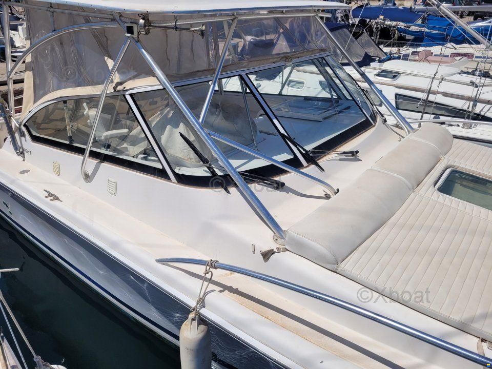 Luhrs 28