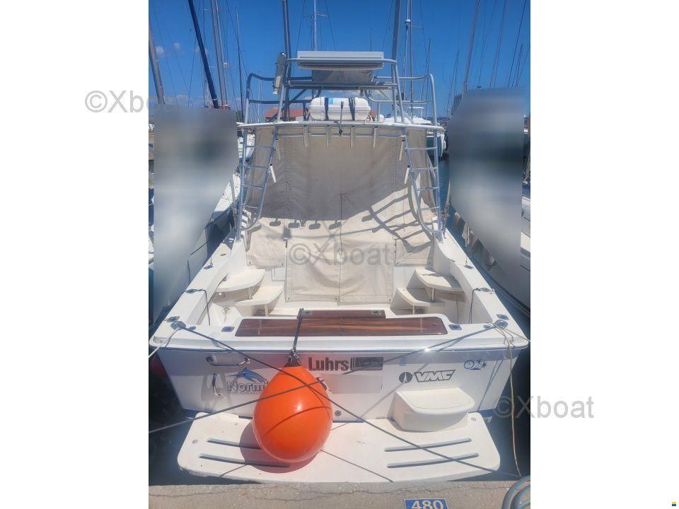 Luhrs 28