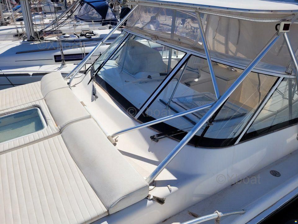 Luhrs 28